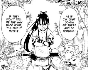 rhs-moon-princess-panel