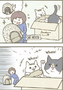 rhs-weirdo-cat-panel