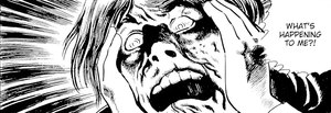 rhs-mansect-panel.png