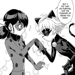 miraculous.png
