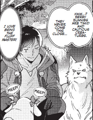 rhs-fluff-panel.png