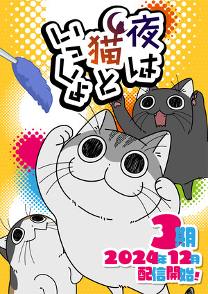 Nights with a Cat visual