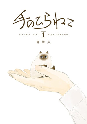 fairycat-img