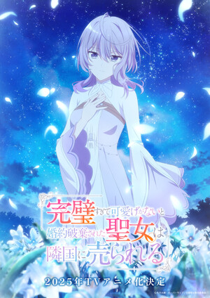 Image of lilac-haired protagonist in a dress against the night sky