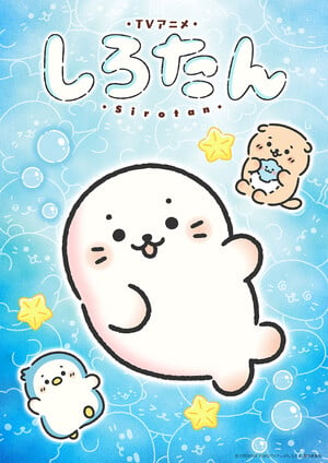 Key visual for Sirotan TV anime