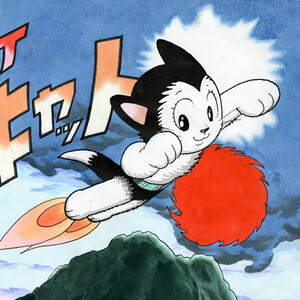 Image of Atom Cat