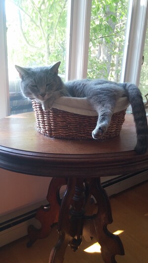 al-does-not-fit