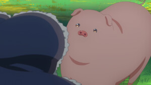 butareba-nd2.png