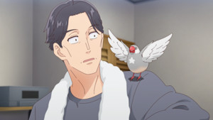 sasaki-nd1.png