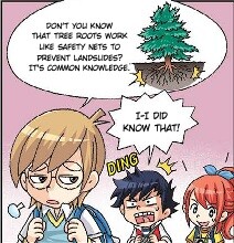 rhs-forest-fingers-panel