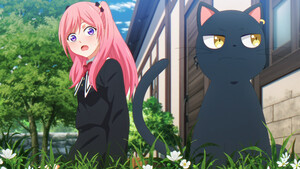 rhs-cat-cap-1.png