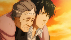 rhs-dandelion-cap-3.png