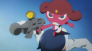 rhs-frog-cap-2.png
