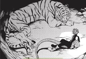 rhs-dragon-tiger-panel