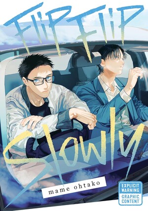 flip-flip-slowly