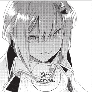 rhs-romelia-panel.png