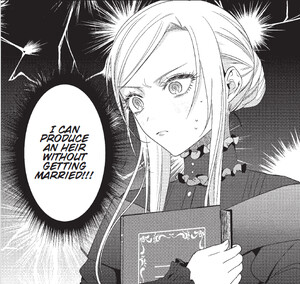rhs-scheming-panel.png