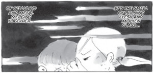 coccon-panel-art.png