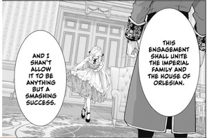 the-princess-groom-panel-art