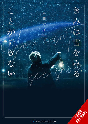 you-cant-see-the-snow_cnf_rv