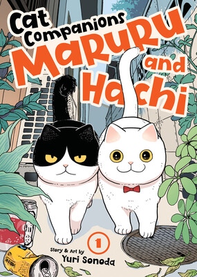 catcompanions-img