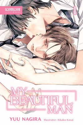 my-beautiful-man-light-novel