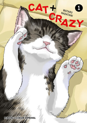 catcrazyv1_cover