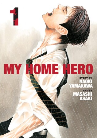 my-home-hero