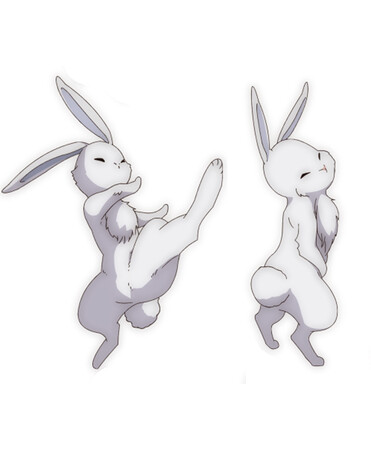 usagi