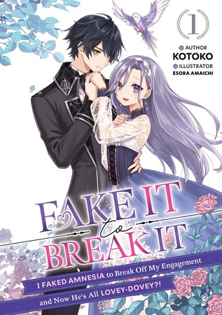 fake-it-to-break-it-ln-cover-vol-1