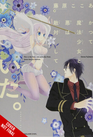 the-magical-girl-and-the-evil-lieutenant-used-to-be-archenemies