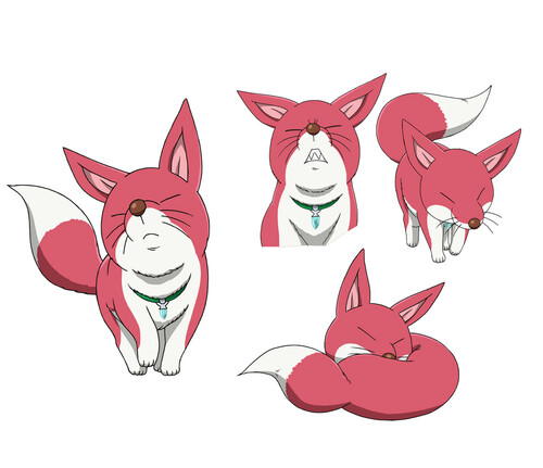 shin