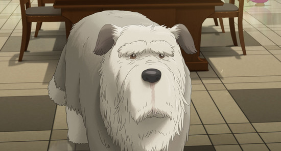 olddog