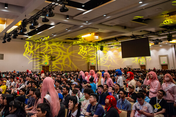 bocchipanel-2-