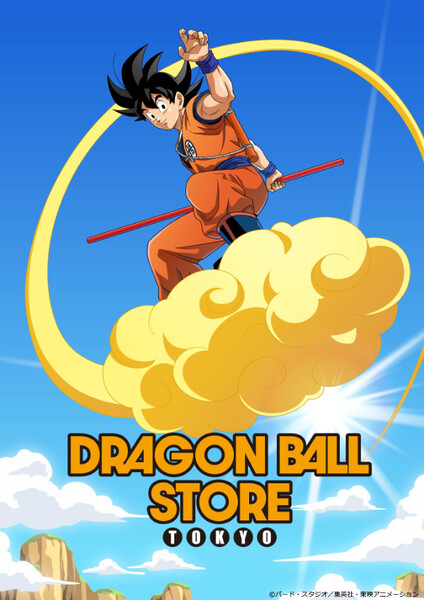 Dragon Ball Store