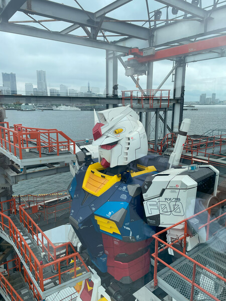 img_0982.png