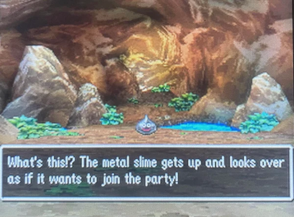 dq01