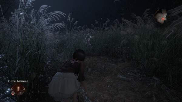 fatal-frame-5.png