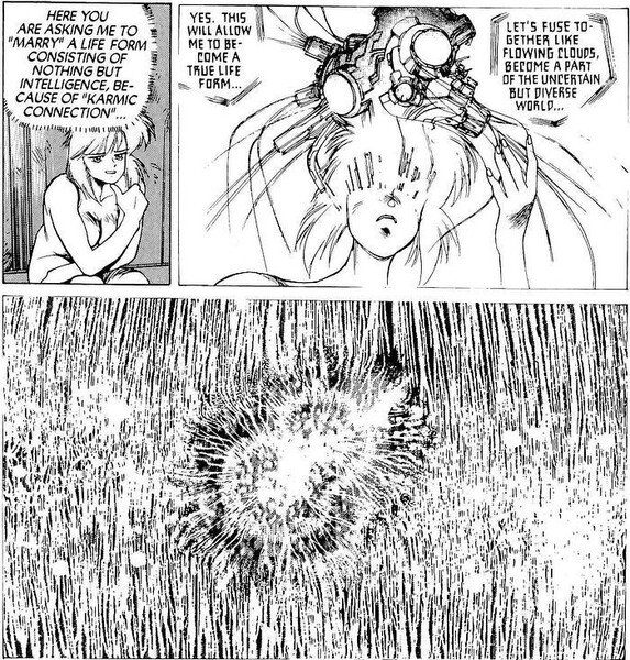 gits-16