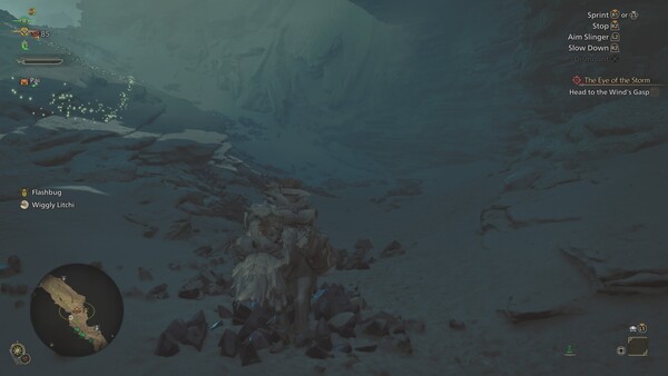 mh-wilds-3