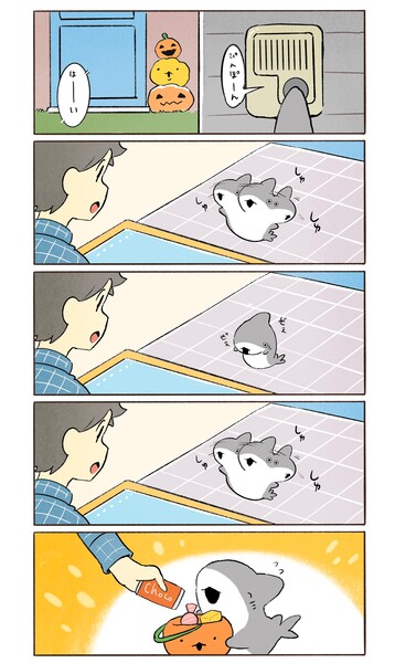 penguin_box