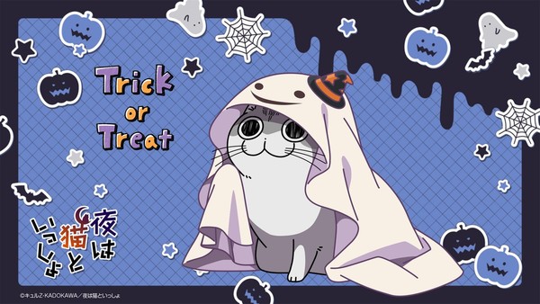 nights_with_a_cat