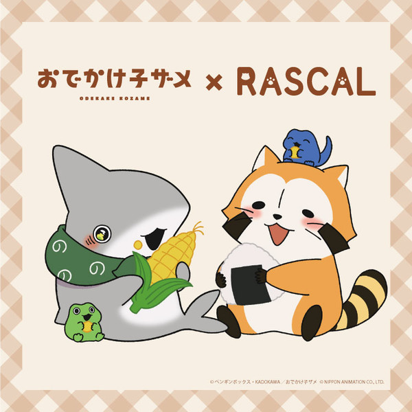 kozame_rascal_01