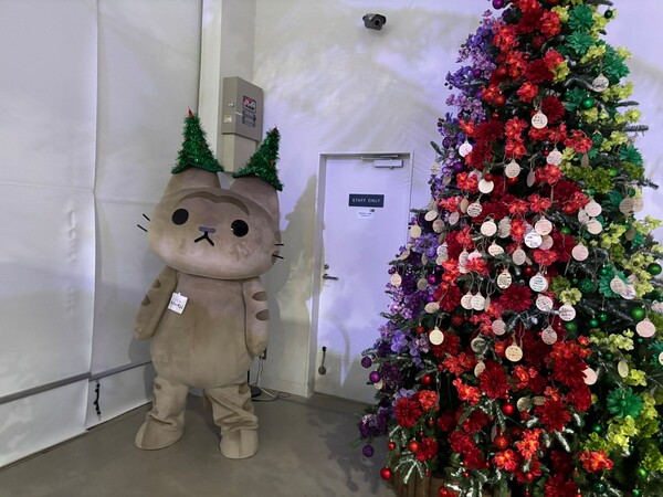 neko_mukashibanashi_christmas_2025