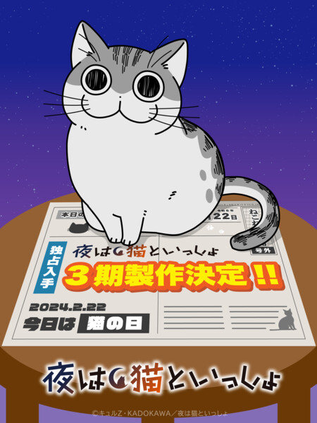 night-visual-02.png