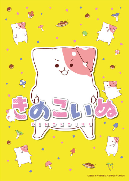 02_kinokoinu_teaserv