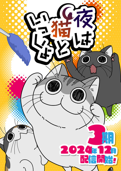 Nights with a Cat visual