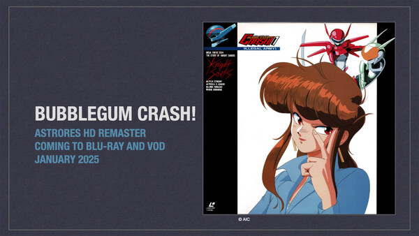 animeigo-otakon-2024.022