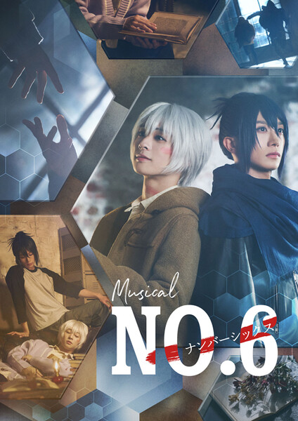 no6