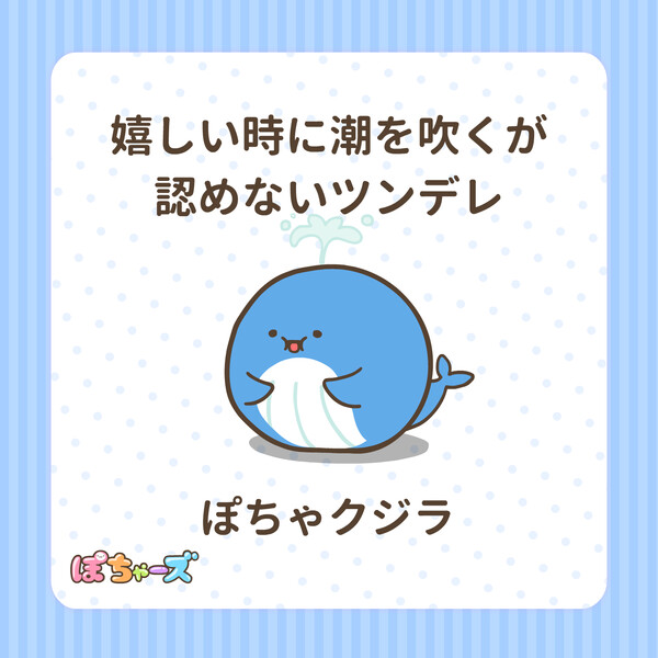 pocha4.png